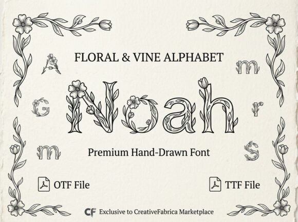 Noah: A Font That Commands Attention